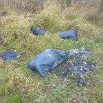 śmieci z gospodarstw domowych wywiezione na żwirownię